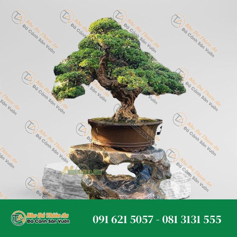 Đôn chậu cây cảnh bằng đá đá tự nhiên 56x110x110cm