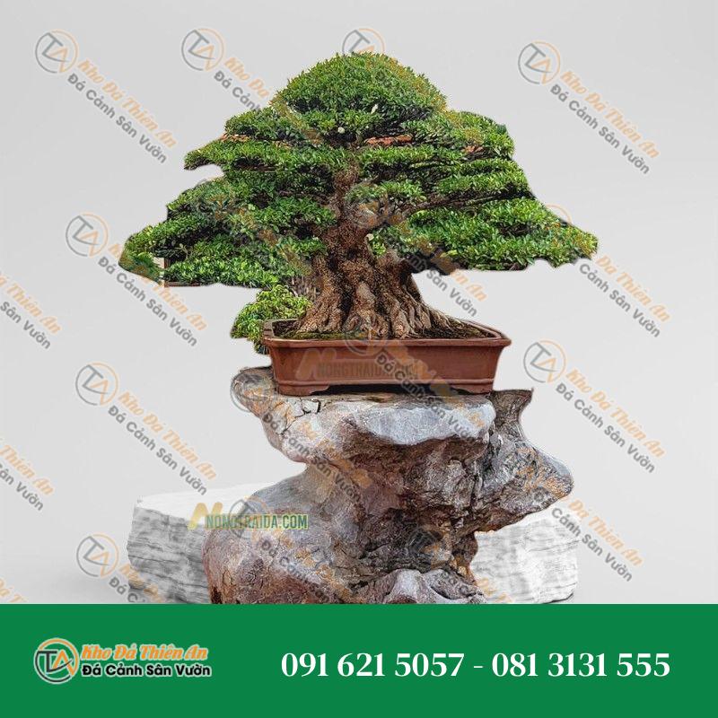 Đôn chậu cây cảnh đá cẩm thạch 55x106x91cm