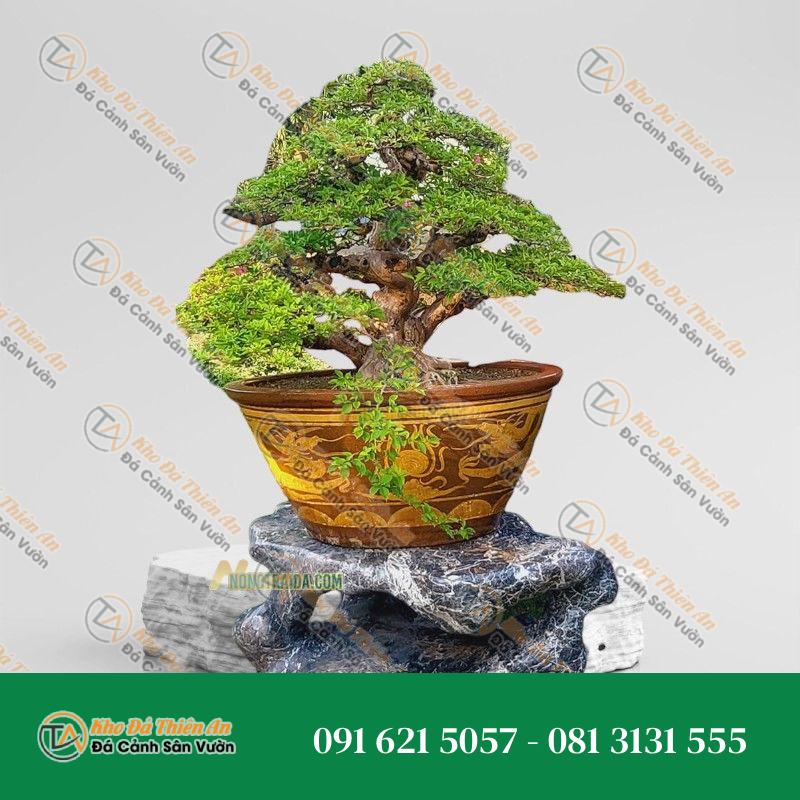Đôn để cây cảnh đá nguyên khối 63x94x106cm