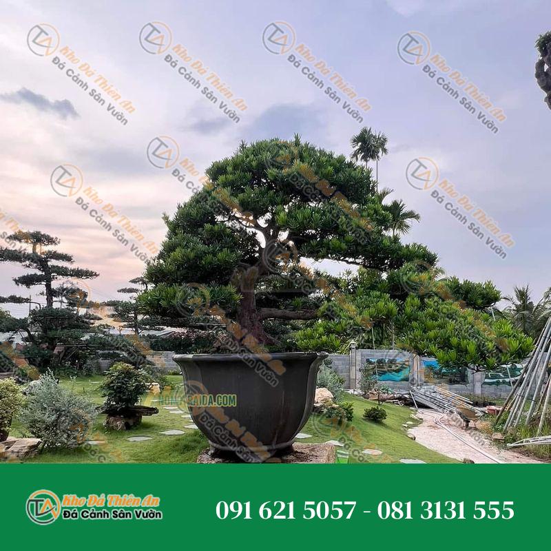 Đôn để chậu cây đá cẩm thạch 63x101x90cm