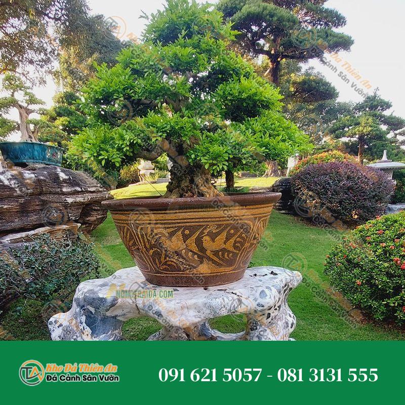 Đôn kê cây cảnh đá nguyên khối 56x108x89cm