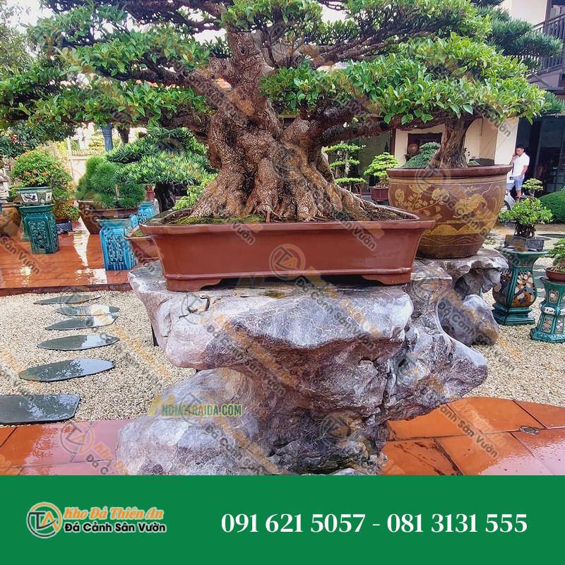 Đôn kê cây cảnh đá nguyên khối 57x102x86cm