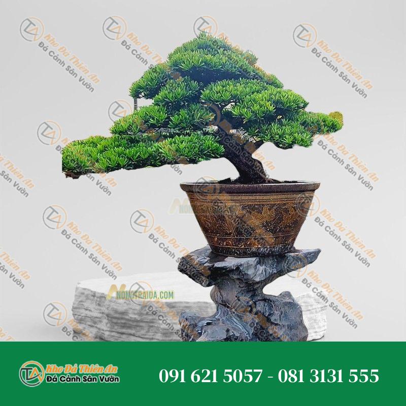 Đôn kê chậu cảnh đá cẩm thạch 69x103x88cm