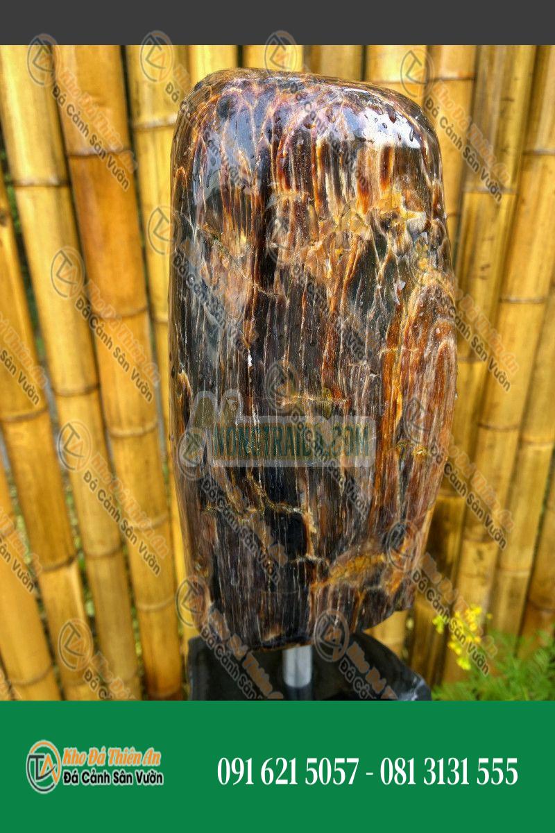 Gỗ hóa thạch mài Monolith xám nâu