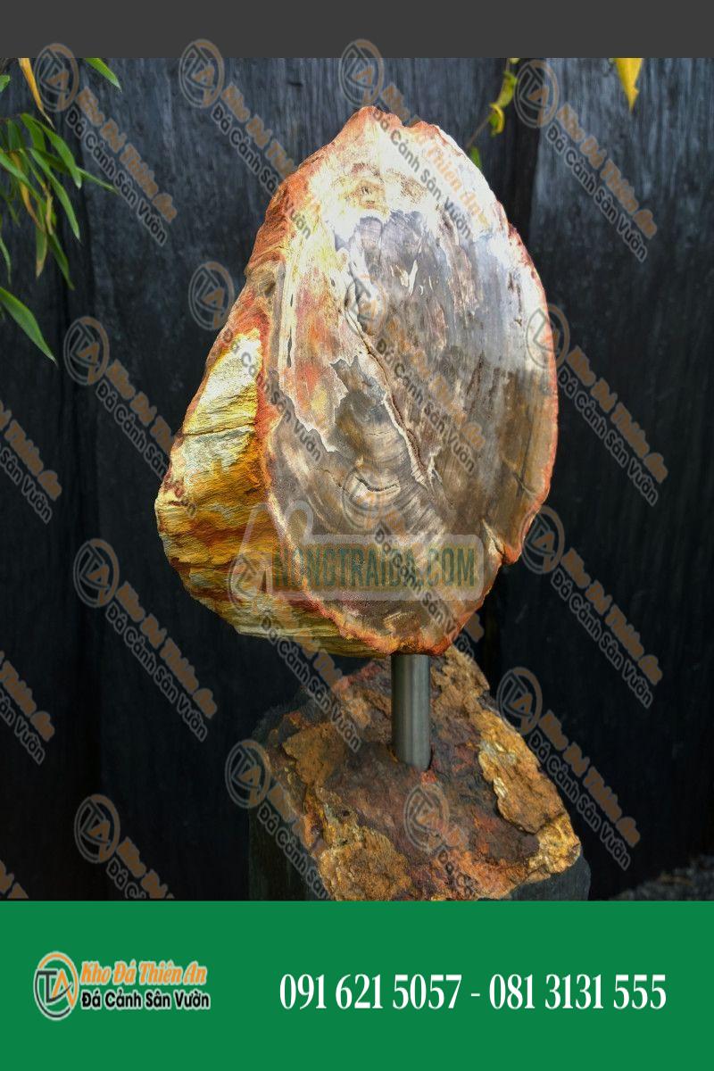 Gỗ hóa thạch Monolith xám nâu