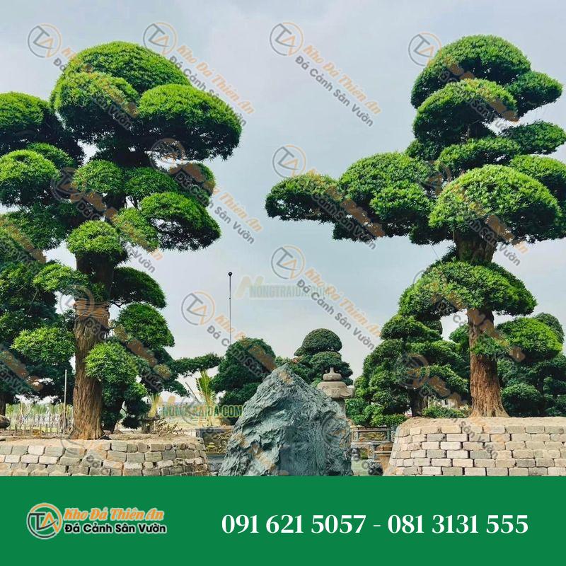 Hòn Non Bộ Sân Vườn Đá Xanh Nhật Bản 0.96M