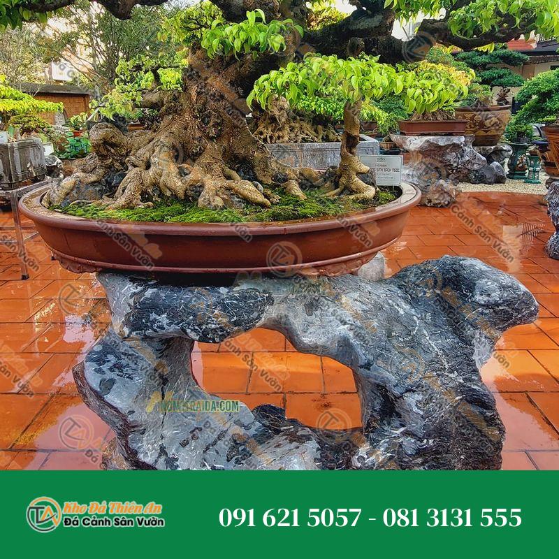 Kệ đôn chậu cây đá nguyên khối 60x100x101cm