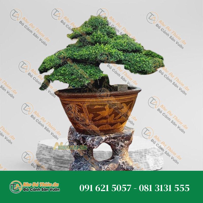 Kệ đôn chậu cây đá nguyên khối 63x87x100cm