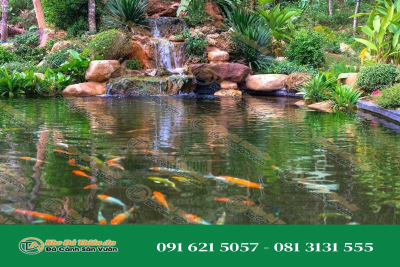 Mẫu Hồ Cá Koi Thiên Nhiên Dùng Đá Cuội Vàng