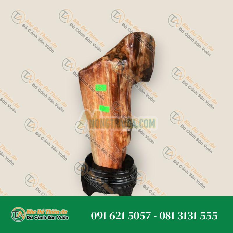 Trụ gỗ hóa thạch phong thủy – Nặng 3,1 kg; 3,3 kg; 3,4 kg; 3,5 kg và 3,9 kg