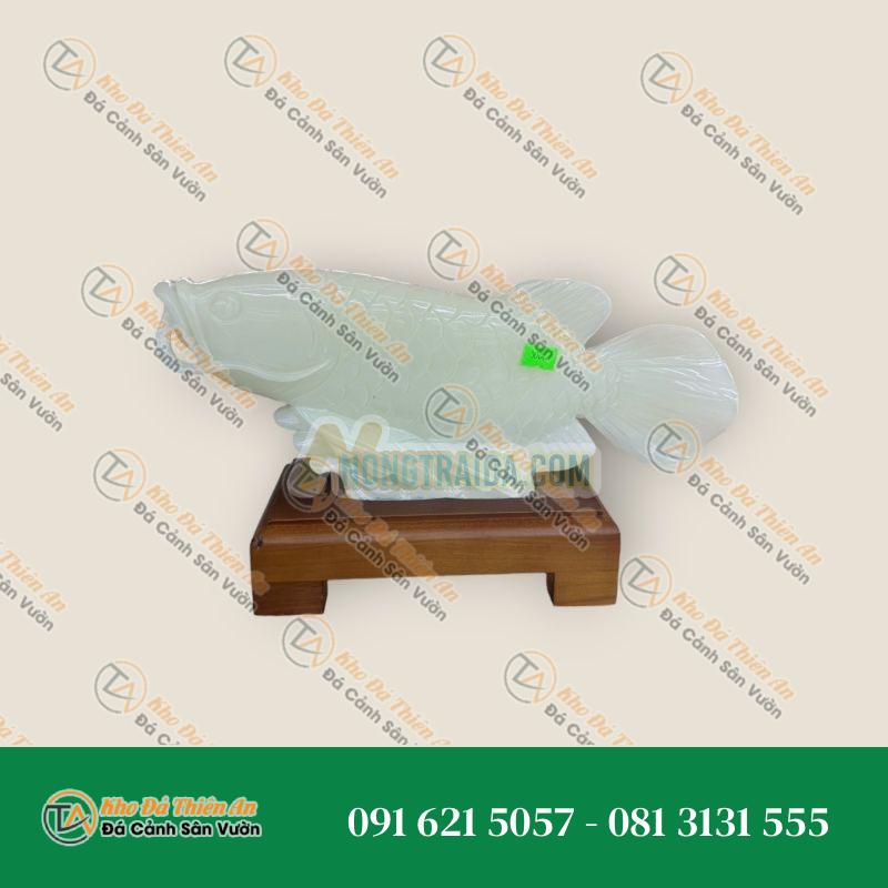 Tượng Cá Rồng, Cá Ngân Long Bạch Ngọc 30cm – Phong Thủy Tốt – Khodathienan.com